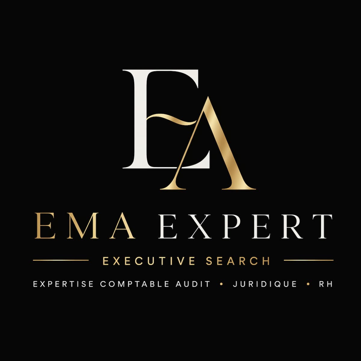 Logo EMA Expert — Executive Search
